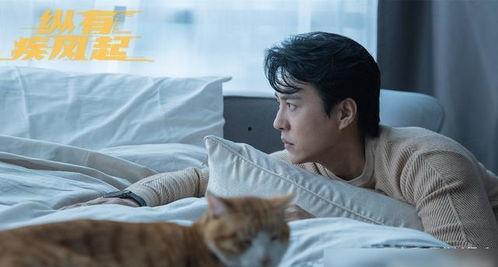 靳东最新爆料消息视频,揭秘娱乐圈不为人知的秘密 第3张 靳东最新爆料消息视频,揭秘娱乐圈不为人知的秘密 第3张